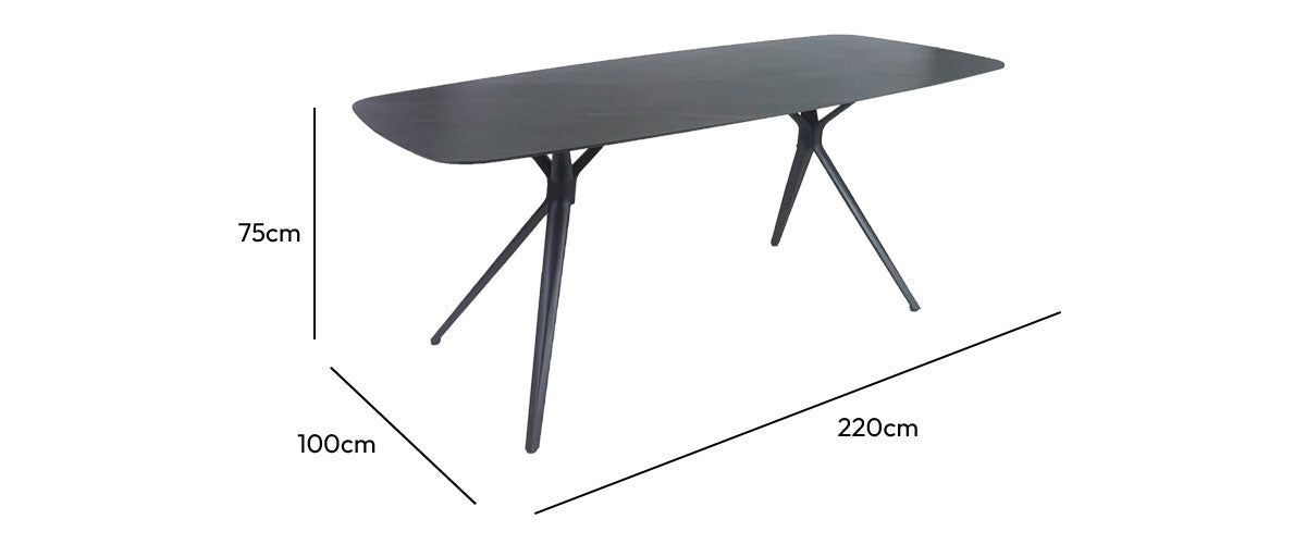 AX Outdoor Table 220x100